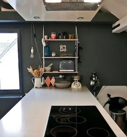 Apartment Strasbourg Entre Hypercentre Et Verdure Bischheim
