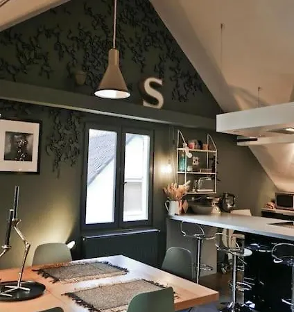 Strasbourg Entre Hypercentre Et Verdure *