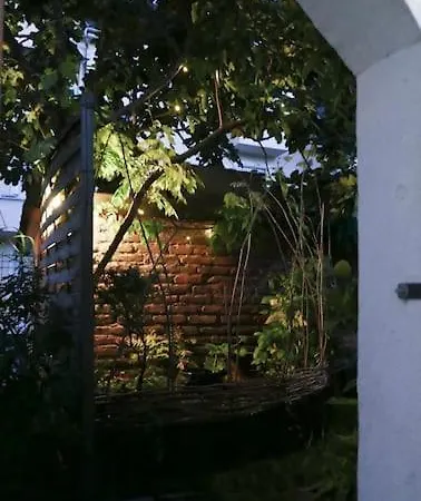 Strasbourg Entre Hypercentre Et Verdure *