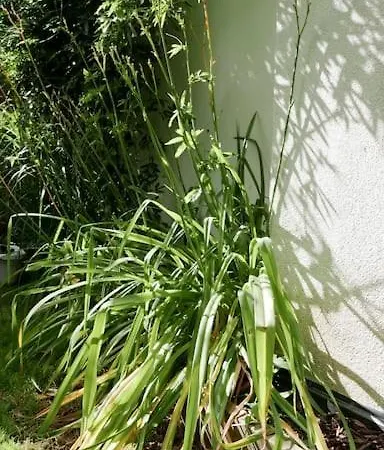 Strasbourg Entre Hypercentre Et Verdure