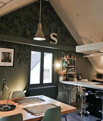 Strasbourg Entre Hypercentre Et Verdure *