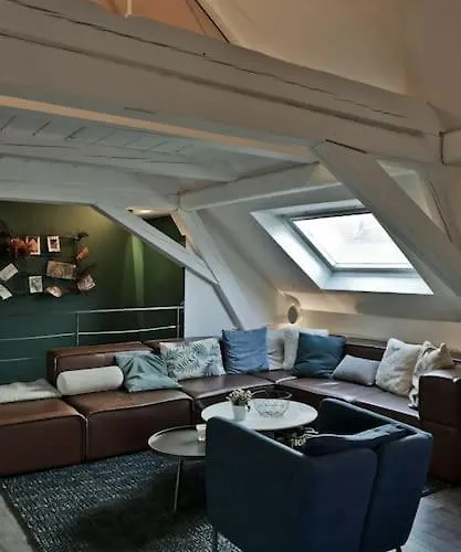 Strasbourg Entre Hypercentre Et Verdure Apartment