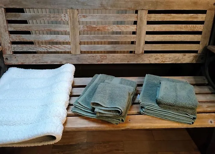 Apartment Strasbourg Entre Hypercentre Et Verdure