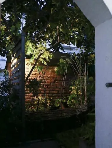 Strasbourg Entre Hypercentre Et Verdure *