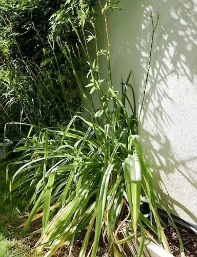 Strasbourg Entre Hypercentre Et Verdure