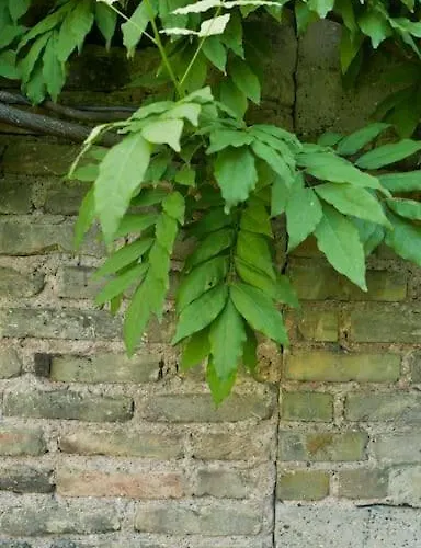 Apartment Strasbourg Entre Hypercentre Et Verdure